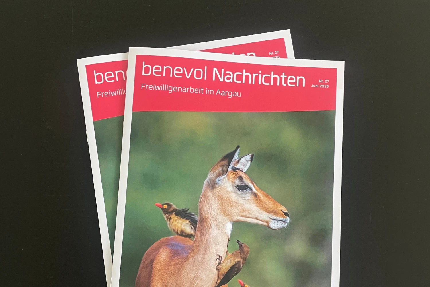 Foto des Magazins, Ausgabe Nr. 27