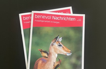 Foto des Magazins, Ausgabe Nr. 27